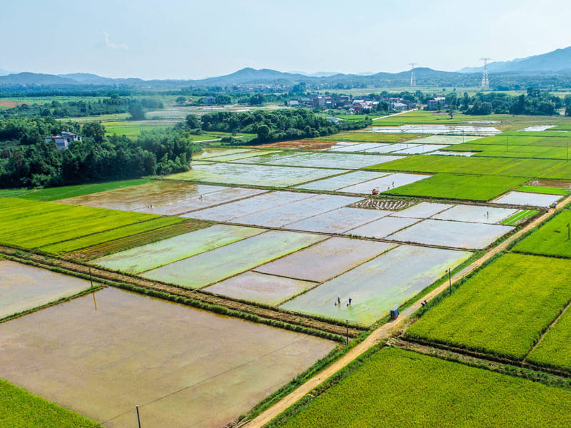 恒美科技助力高標準農(nóng)田建設(shè)，推進農(nóng)業(yè)現(xiàn)代化